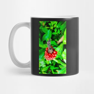 Red peppercorn with bird beak Mug